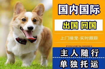 哈尔滨宠物托运公司哈尔滨宠物托运公司哈尔滨宠物托运公司