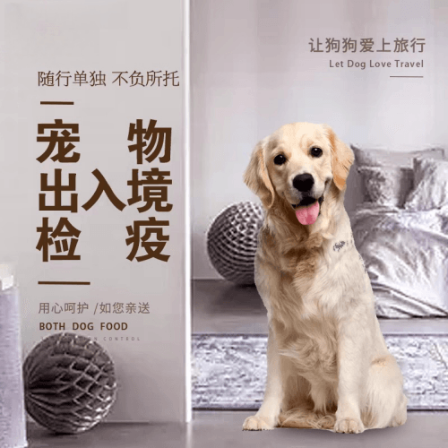 哈尔滨宠物托运到哥伦比亚猫狗宠物入境规定和