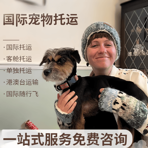 哈尔滨国际宠物托运到阿根廷宠物入境规定和要