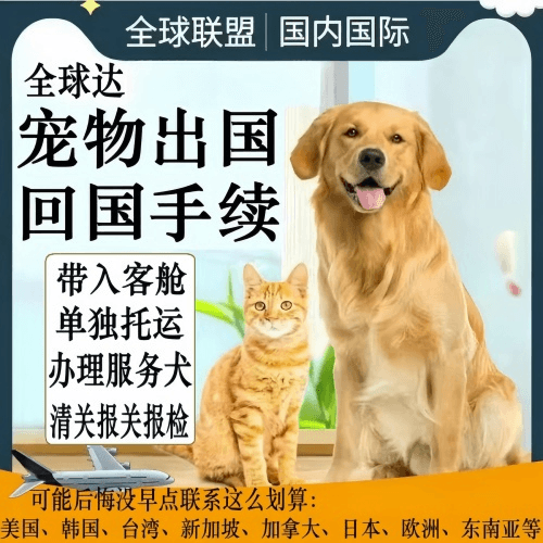 哈尔滨宠物托运到柬埔寨宠物入境规定和要求