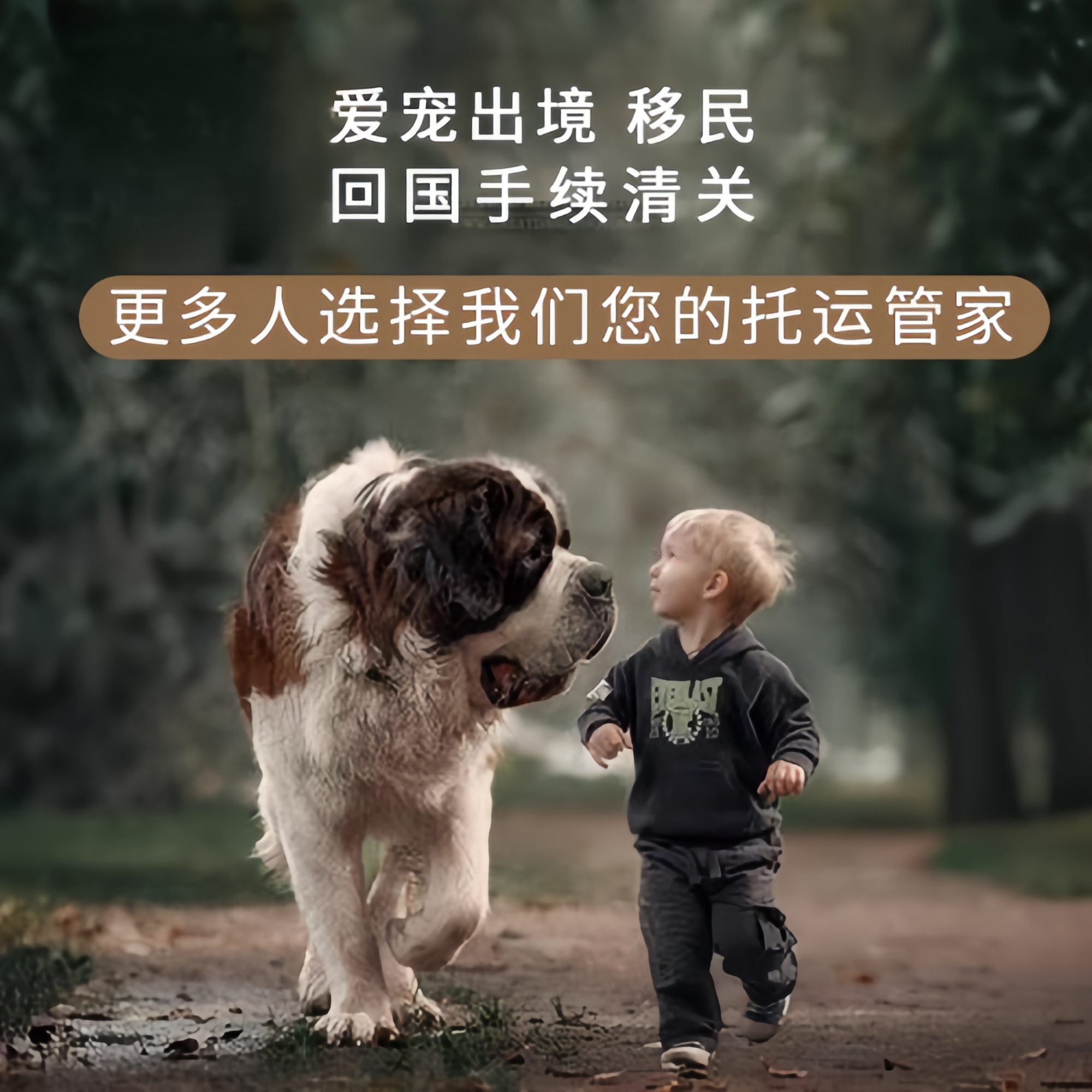 满财哈尔滨宠物全球达宠物托运在遵守入境目的地政策的条件