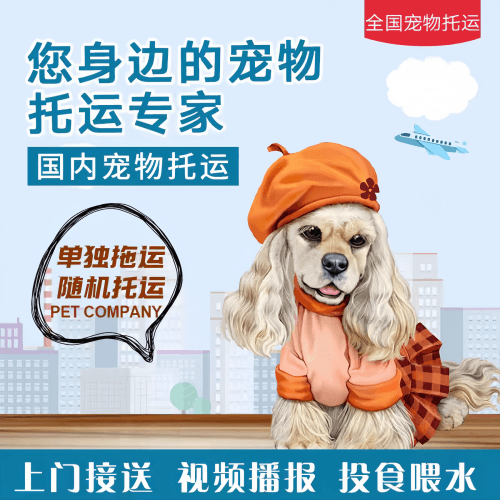 满财哈尔滨宠物全球达宠物托运作为专业的宠物运输代理机构